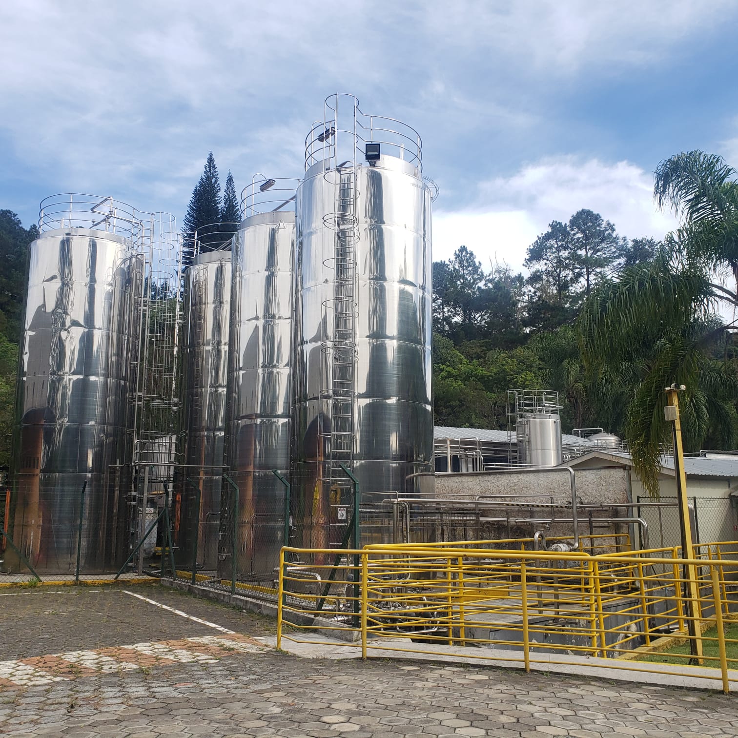 WhatsApp Image 2024-05-15 at 15.09.30.jpeg